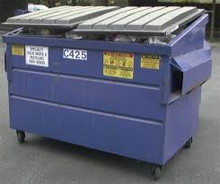 Home Dumpster Home Dumpster