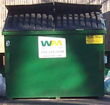 Waste Management Dumpster Waste Management Dumpster